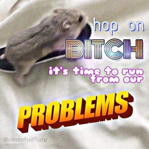 Meet your Posher, Jesley